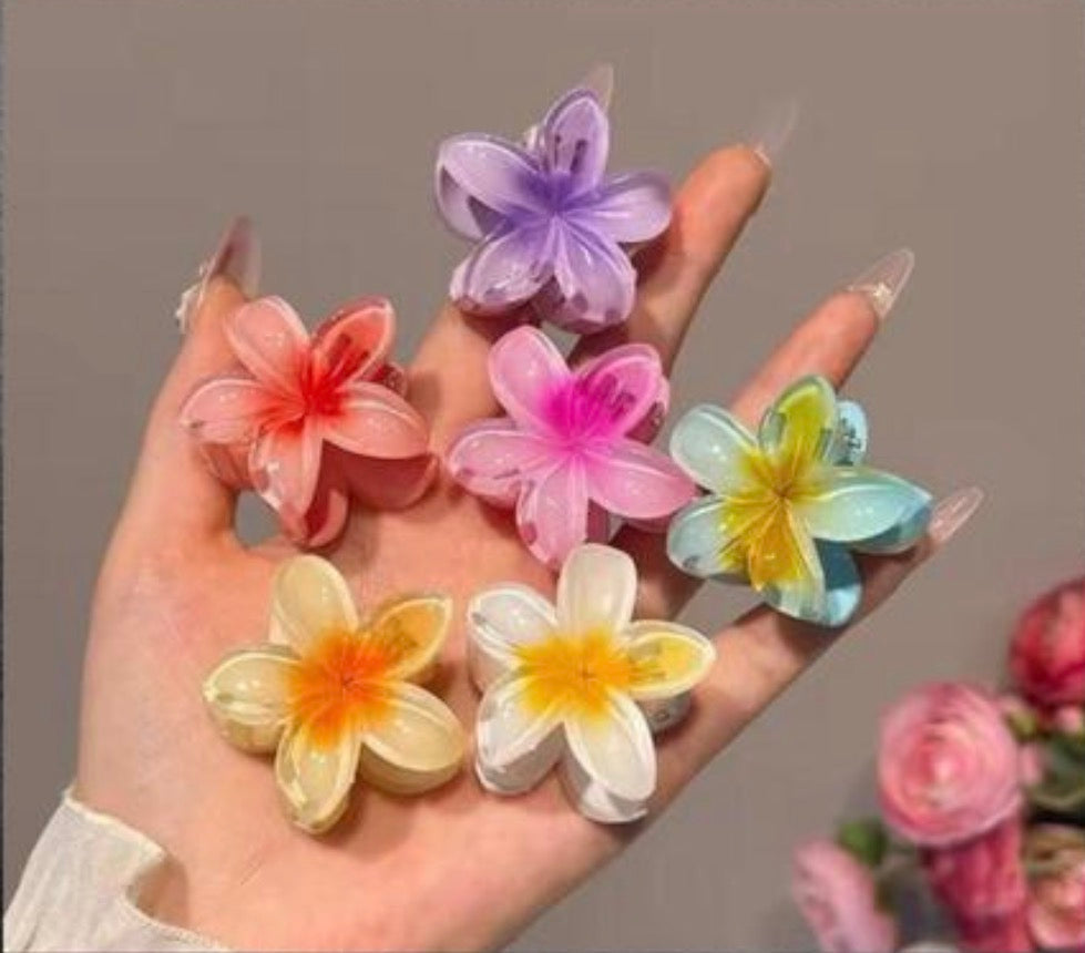 Pack of 6 pcs