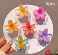Pack of 6 pcs