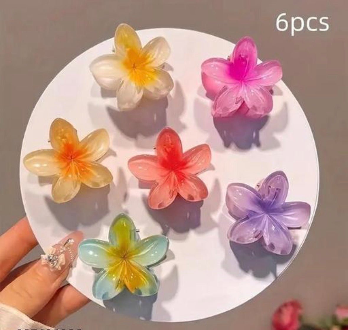 Pack of 6 pcs