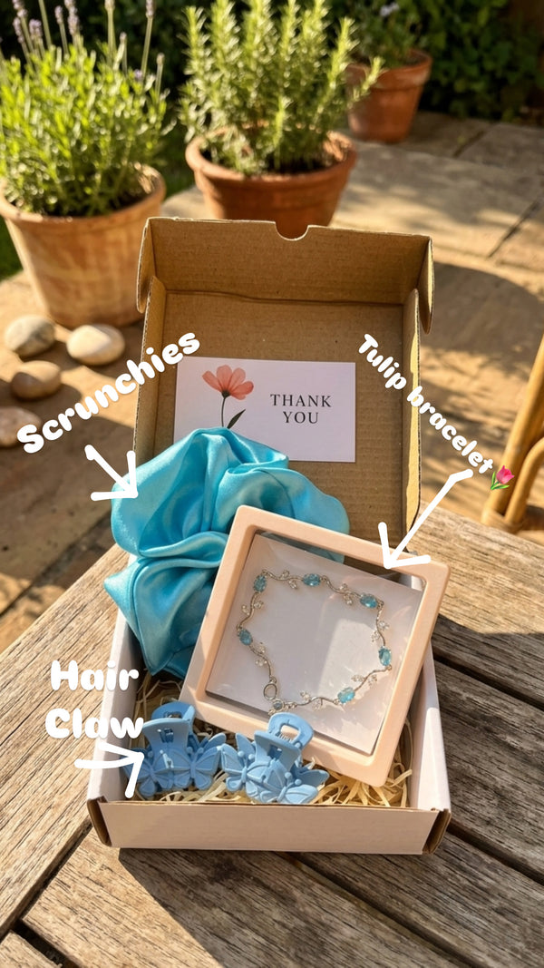 Elsa special gift 🦋